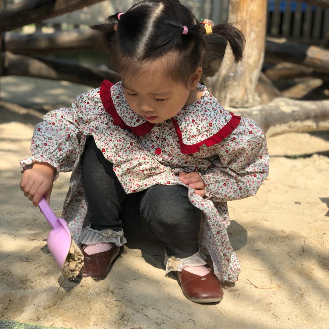 会唱歌的小乌龟