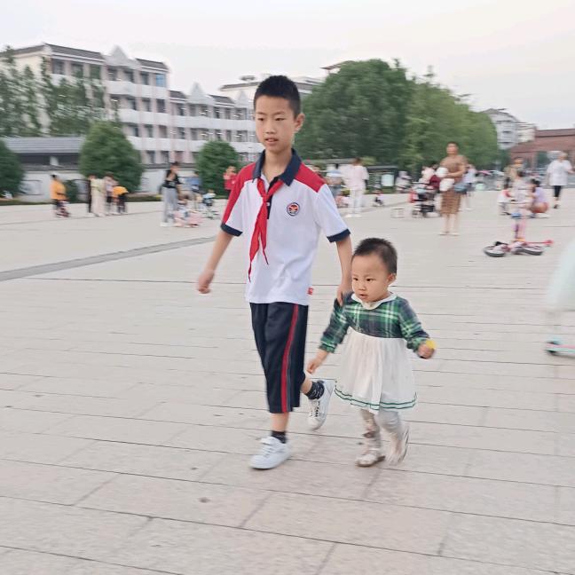 杨杨……