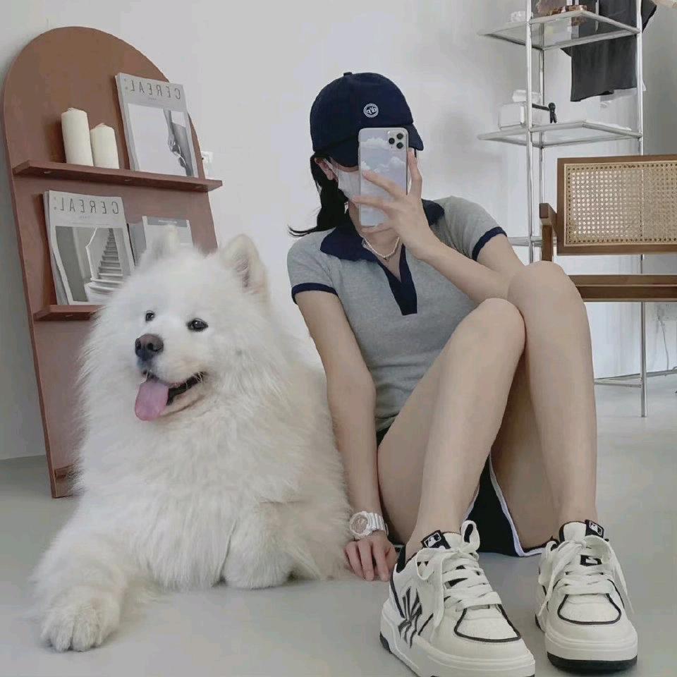 吉星高赵😀