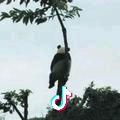 灰色