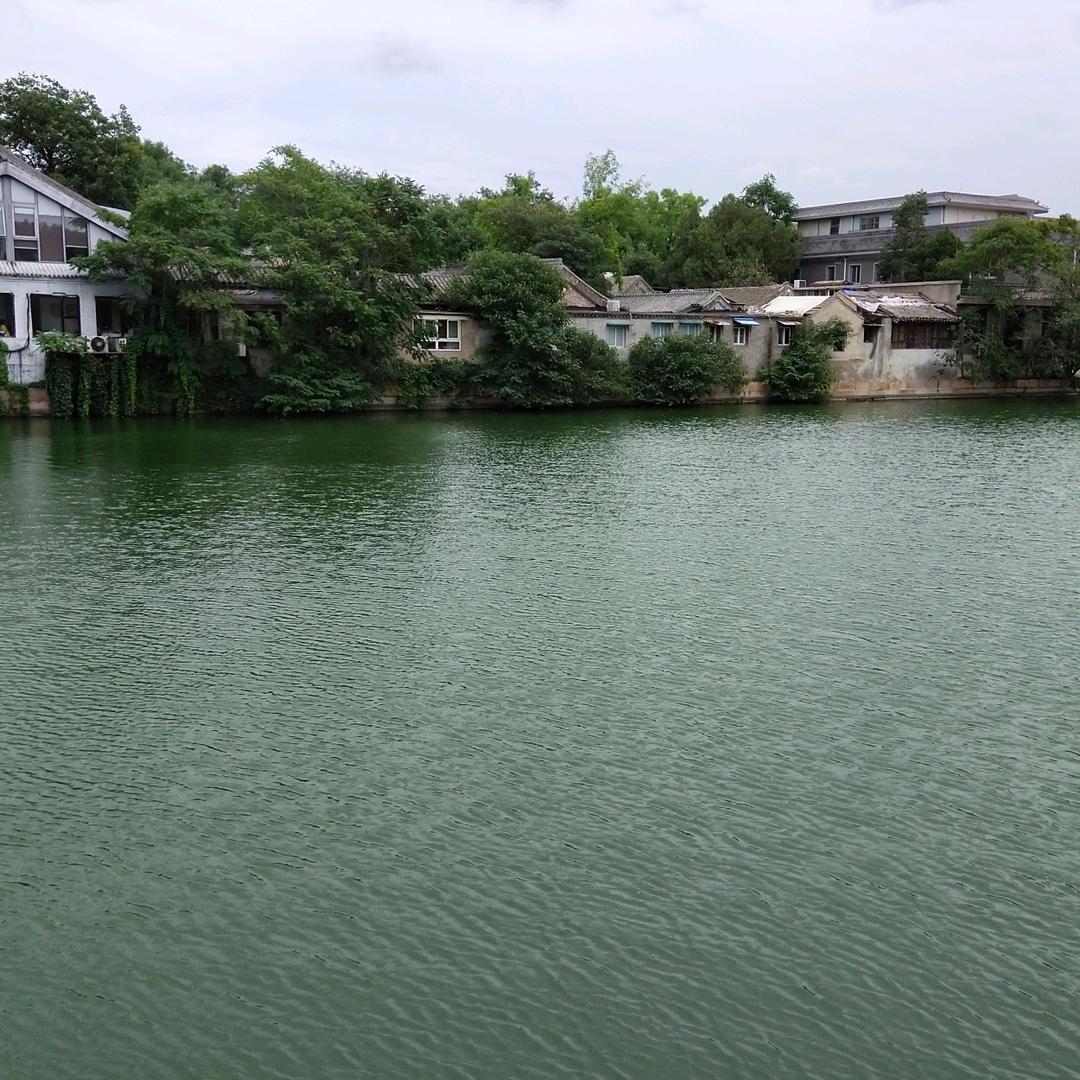 英子，努力培养孩子