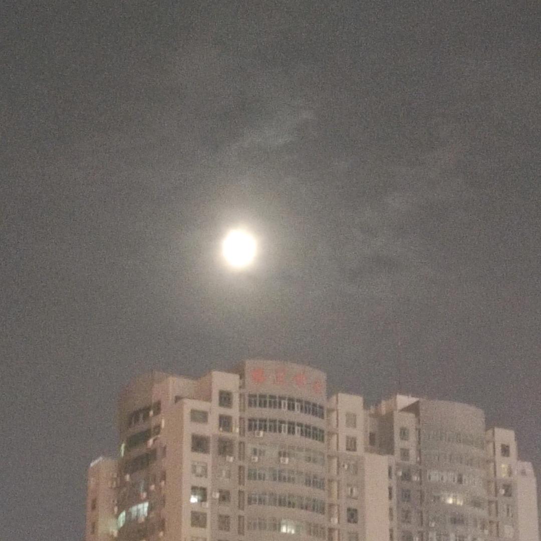 那年风月头像