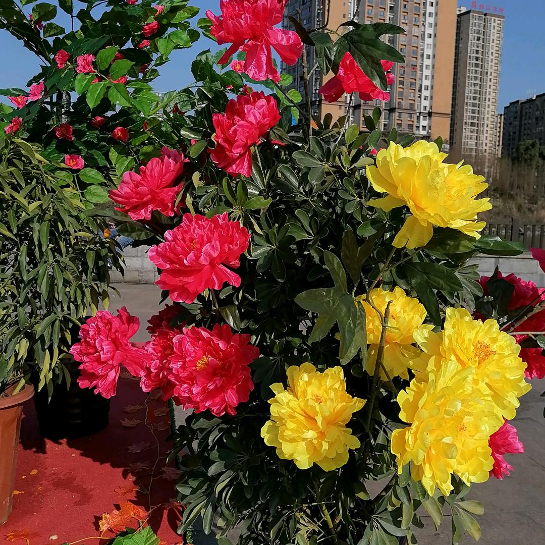 何必问？