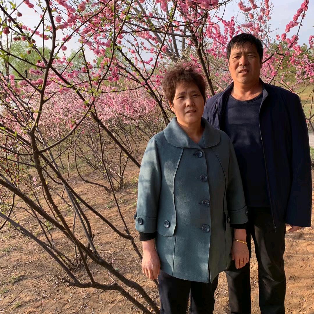 薛妈