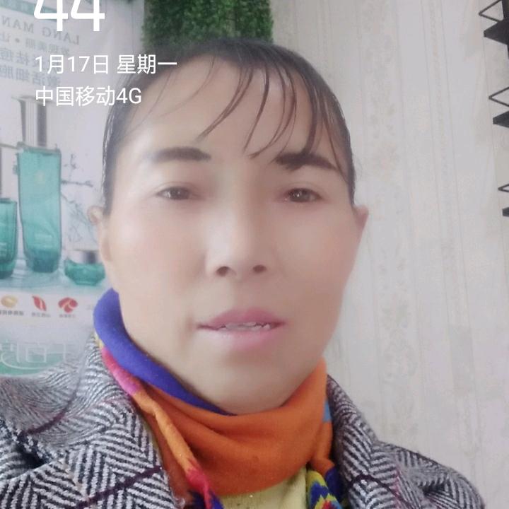 苦苦人生