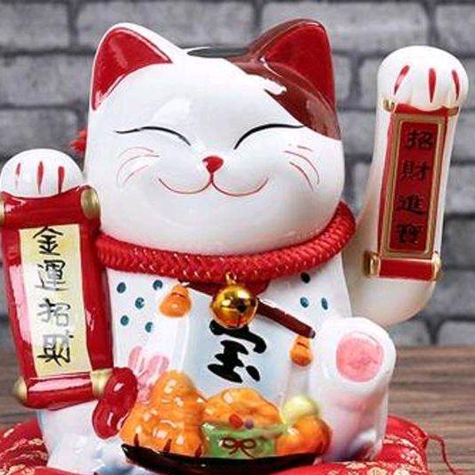 天竺金夫人皮草