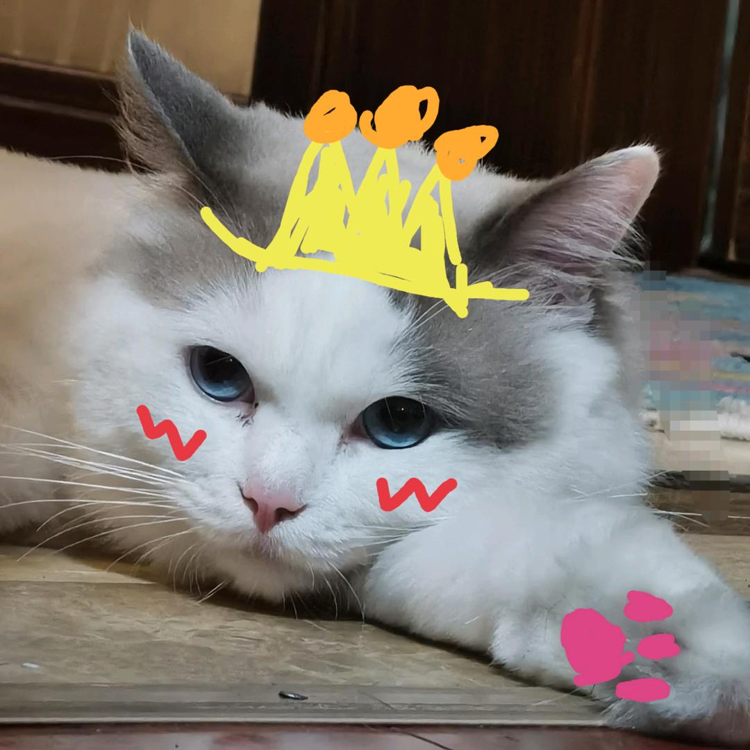 嘉小浪