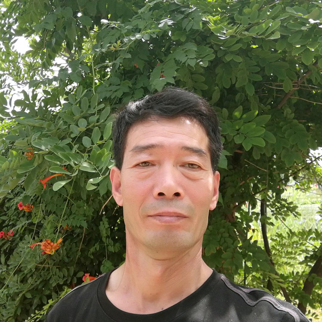 机械士（遂昕）