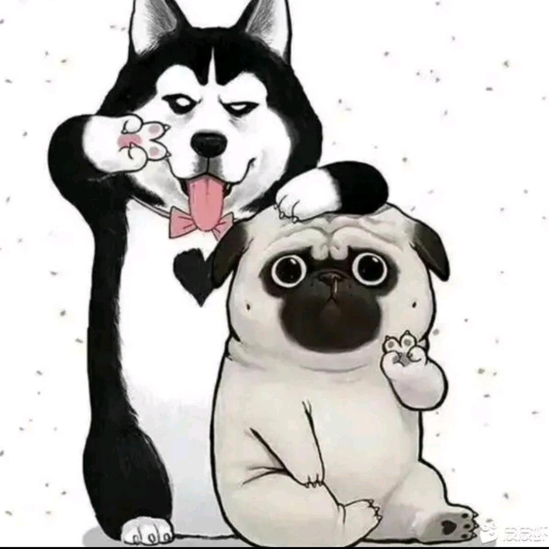 臭蛋儿