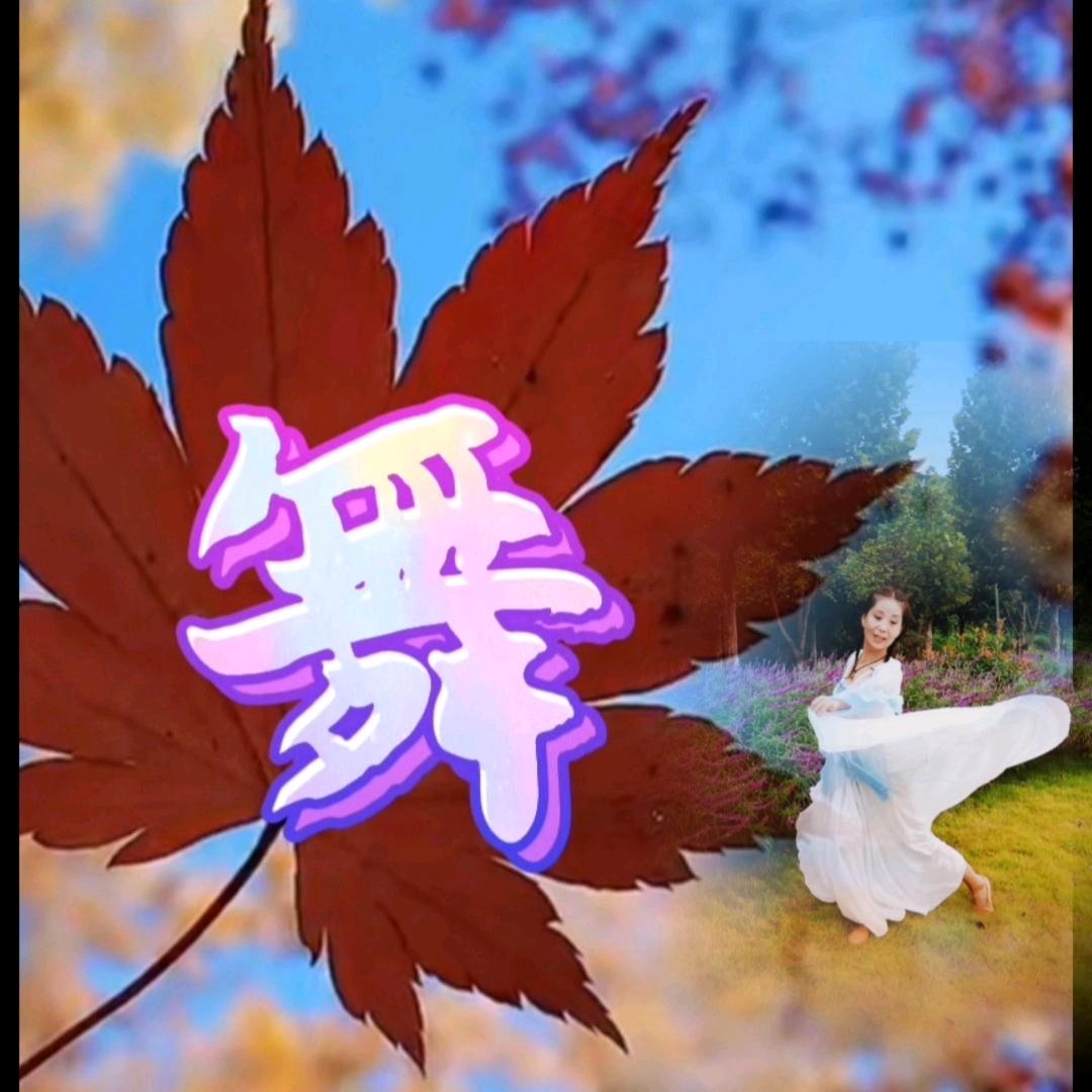 ~韩彤~