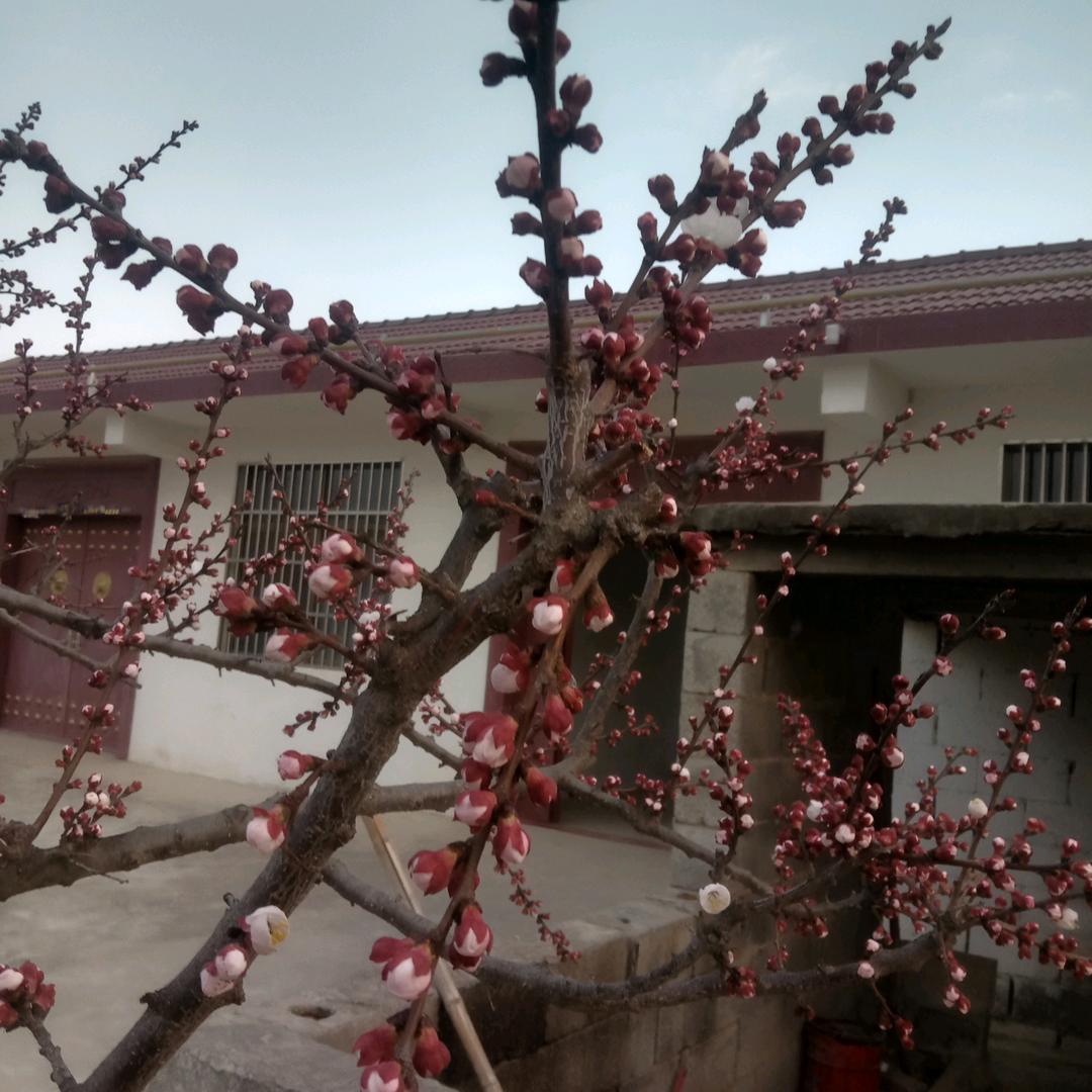 牵着蚂蚁上高速