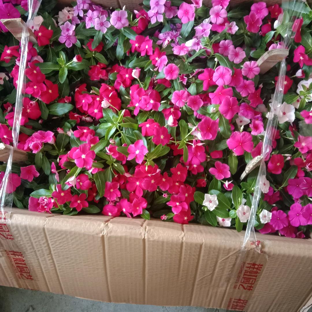 用户711104872