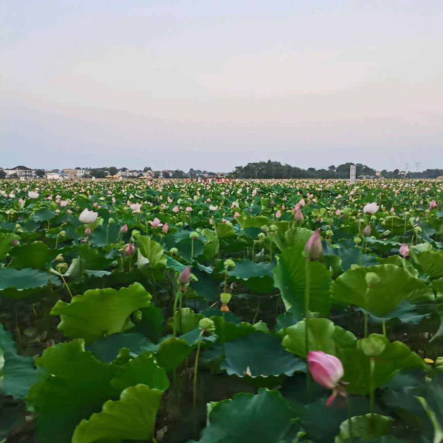 @输入中……………