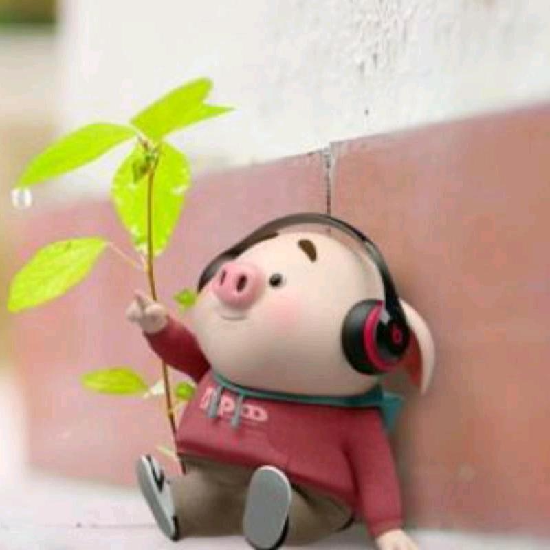 古装那包动