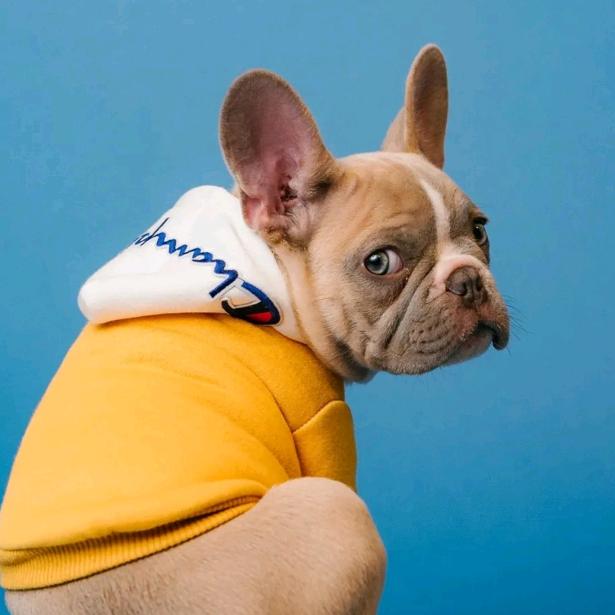 梦动醒幽德博.一组稳稳的福