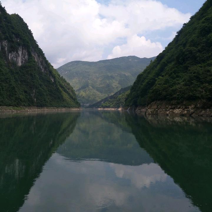 菲菲