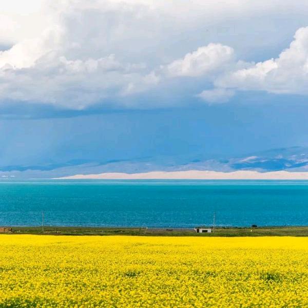 风吹过的你心里吗