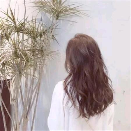 从此北方没有北