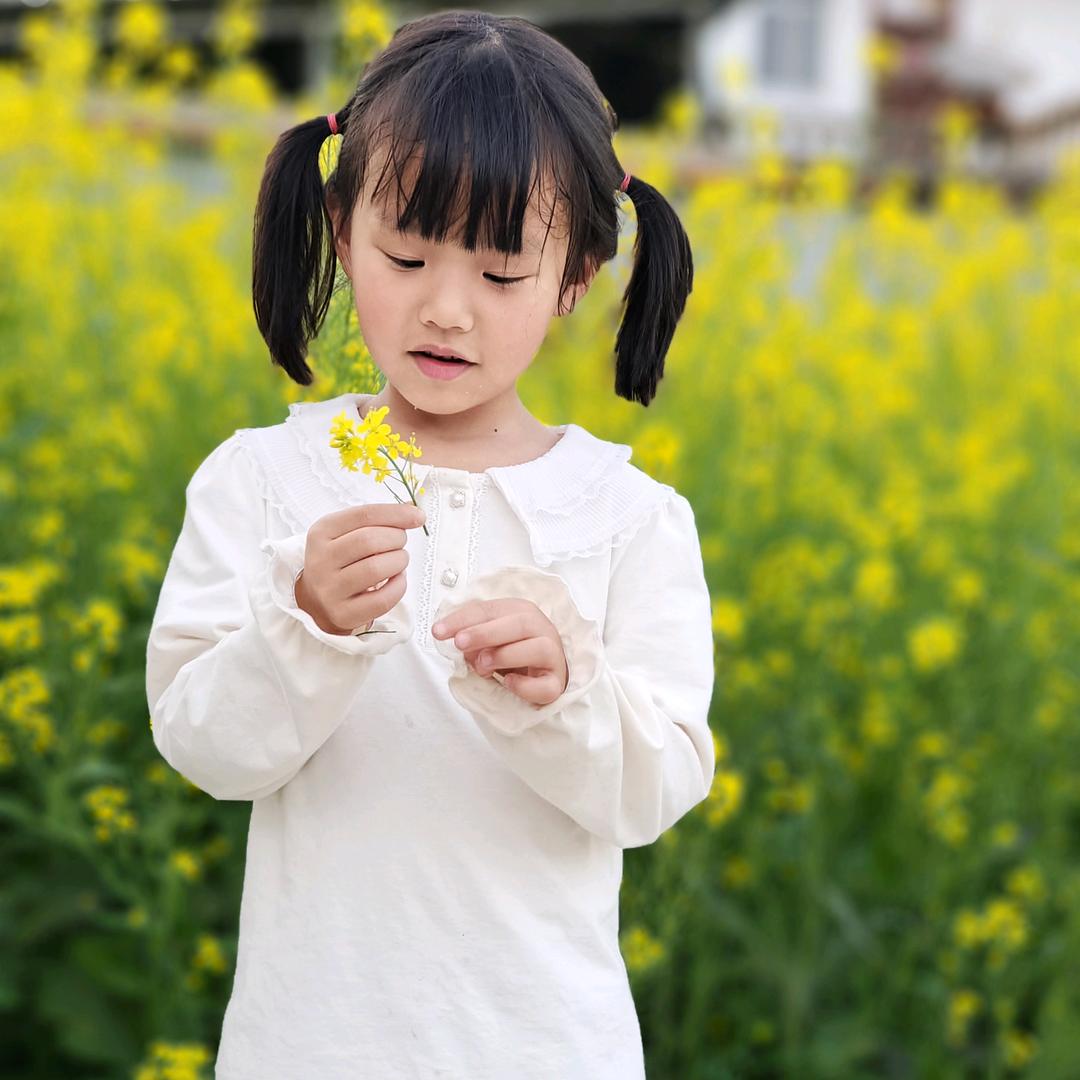 夲小姐帯刺