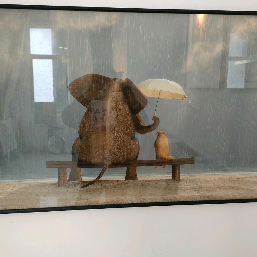 睡不着的泡泡糖：💤