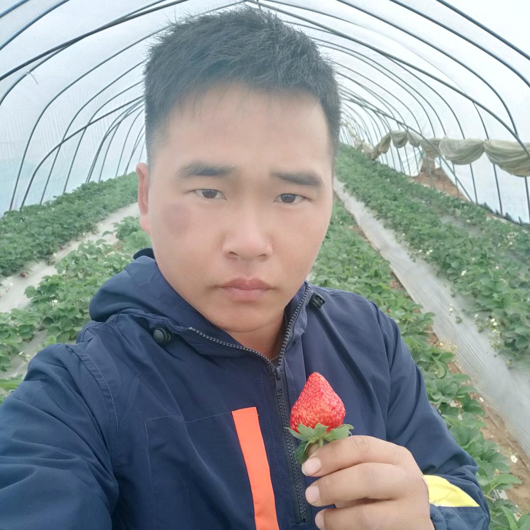 长丰县思恒水果种植农场