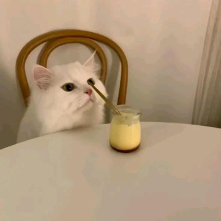 太苦惹