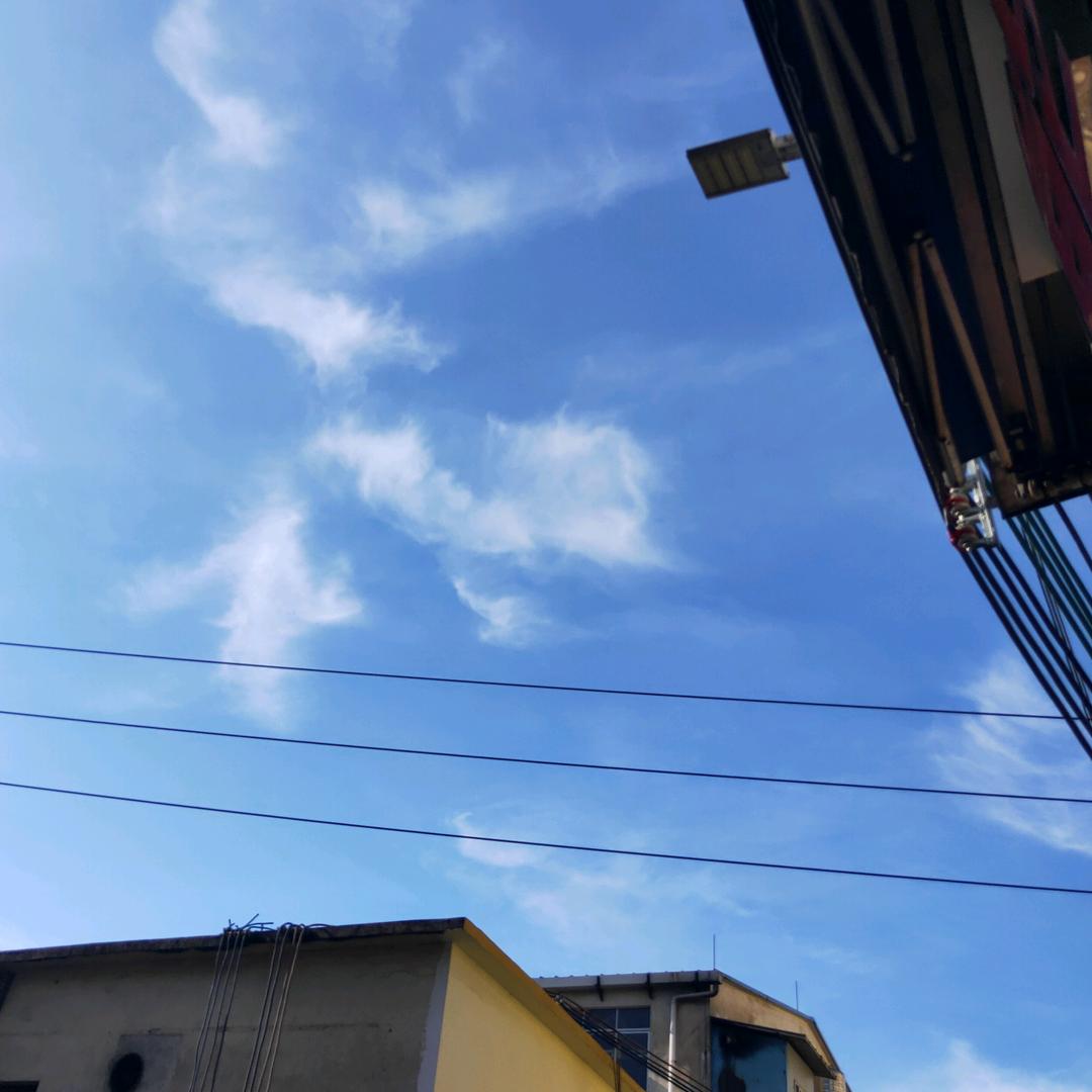 余生无所依靠