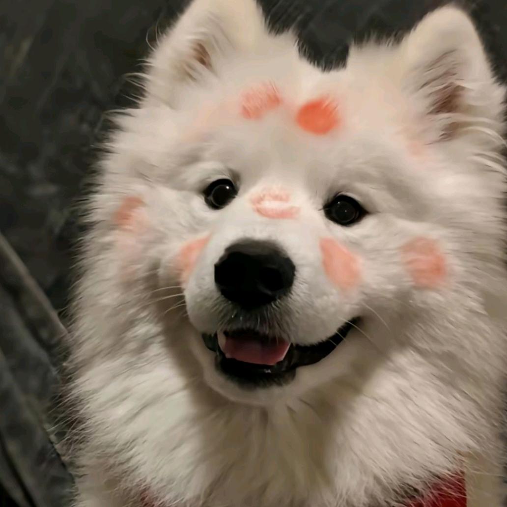 慢慢儿