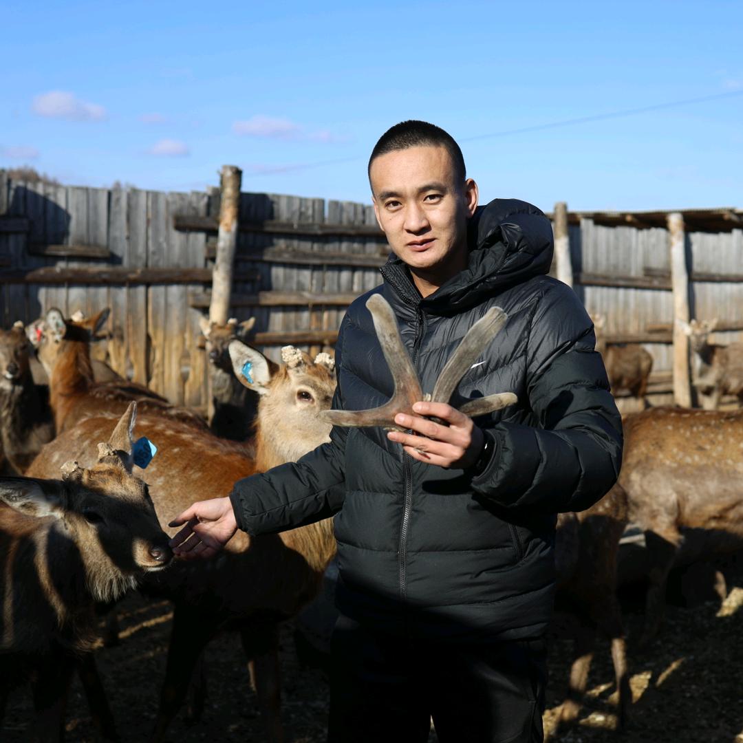 敦化市臻鹿堂参茸特产行