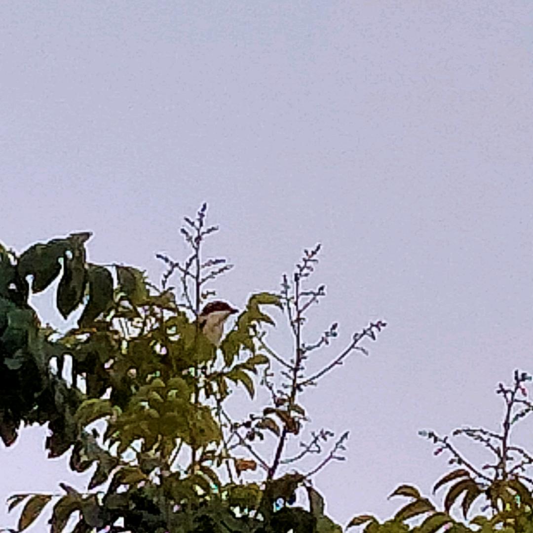 人心难测之涛声依旧