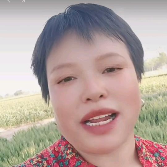 刘元英卖活鸡活鱼