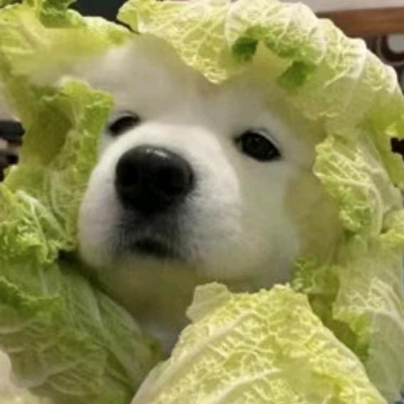 晴天天晴