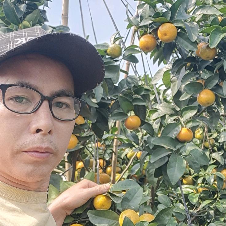 专业做岩堡石仿石漆楼梯洋台扶手小徐