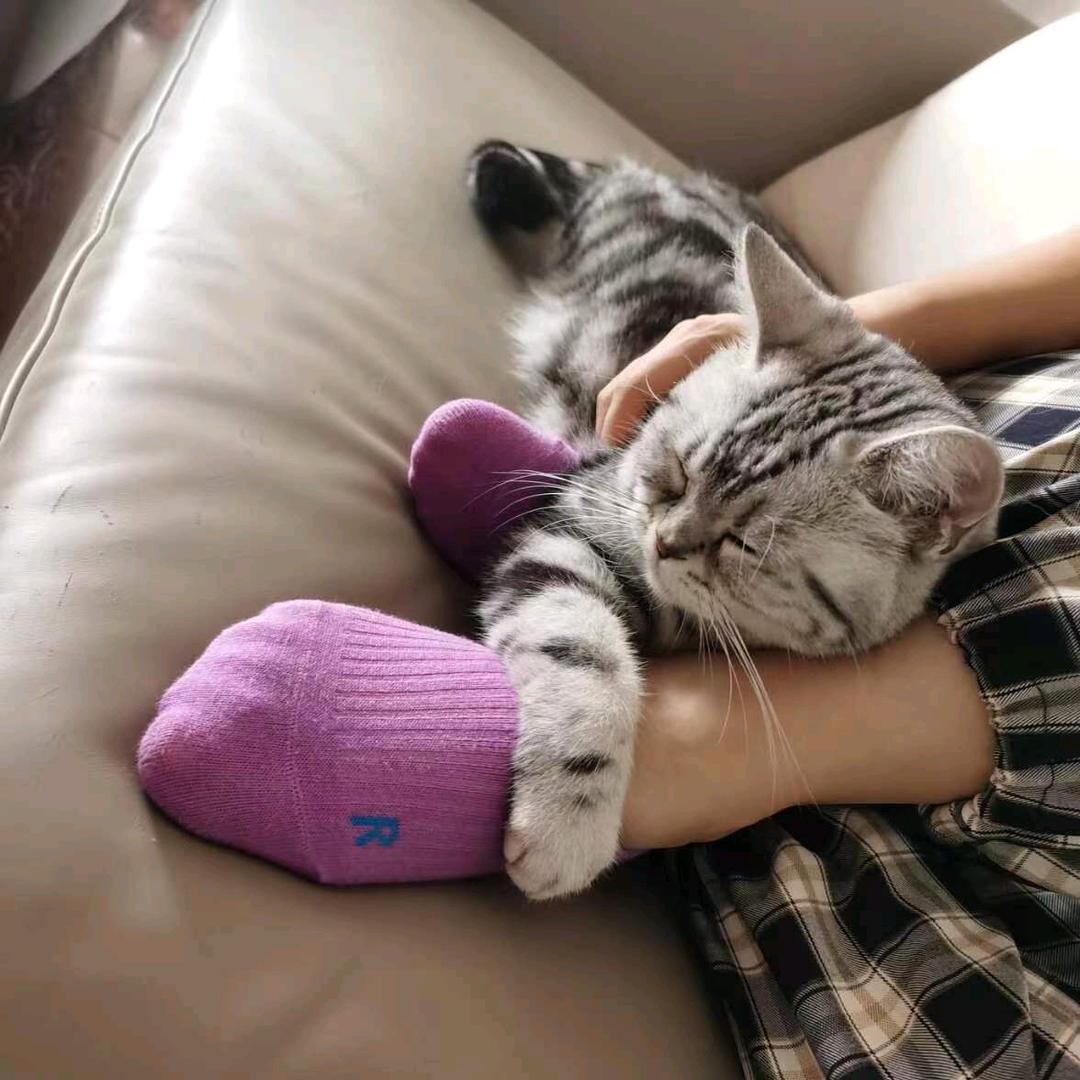 眼影