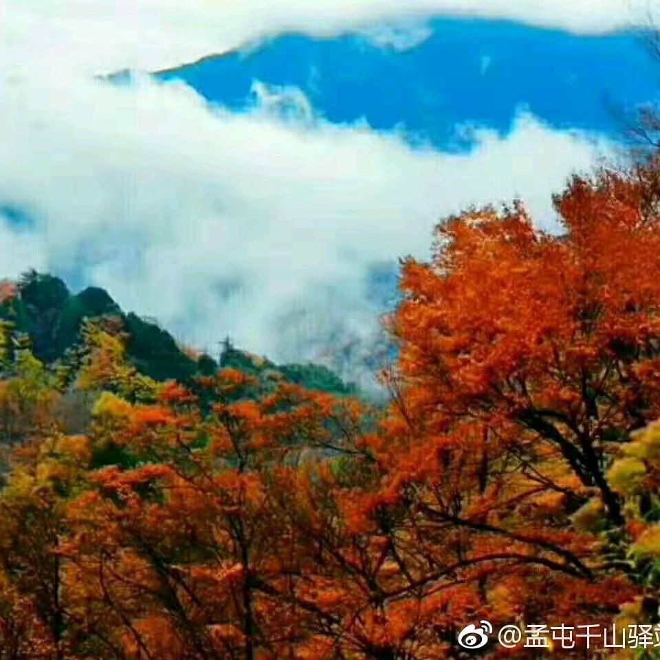 成熟背后的苦涩