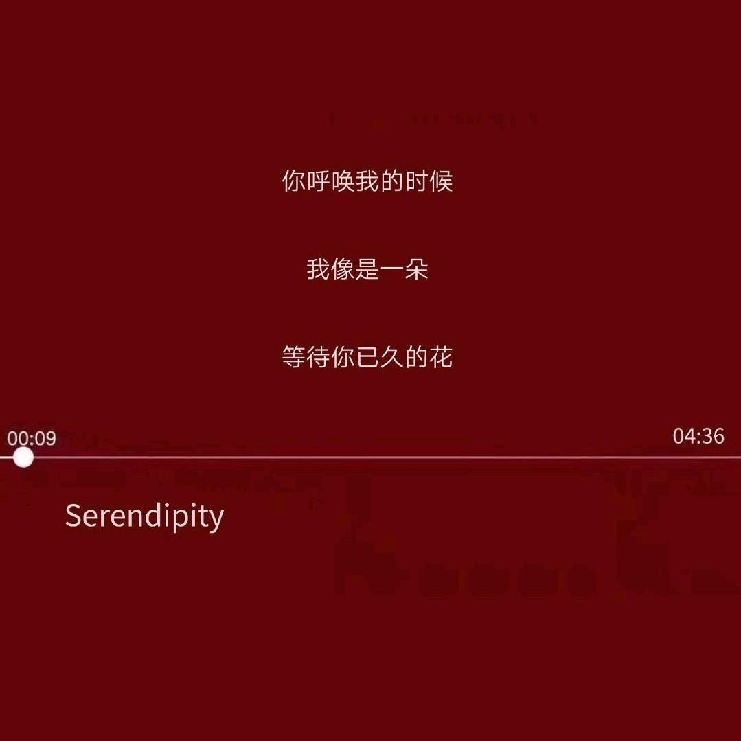 发榜日记