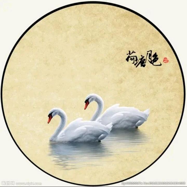 清河寻梦