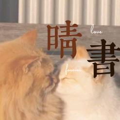 星级美学生活馆