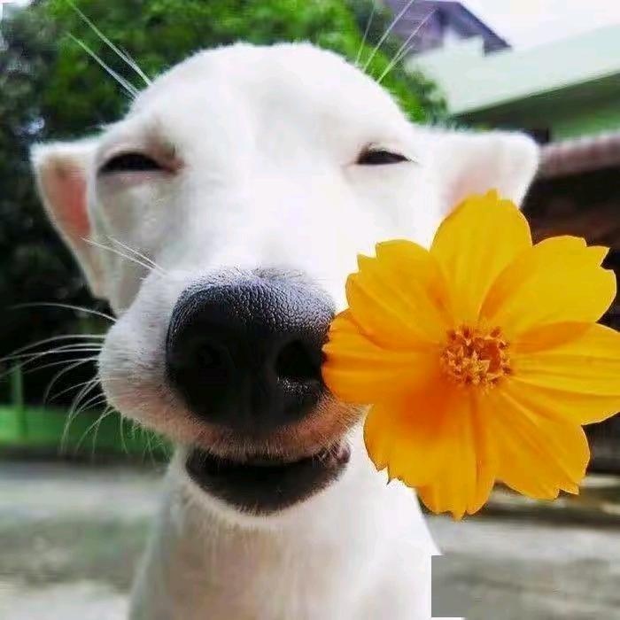 💋友和餐馆💋