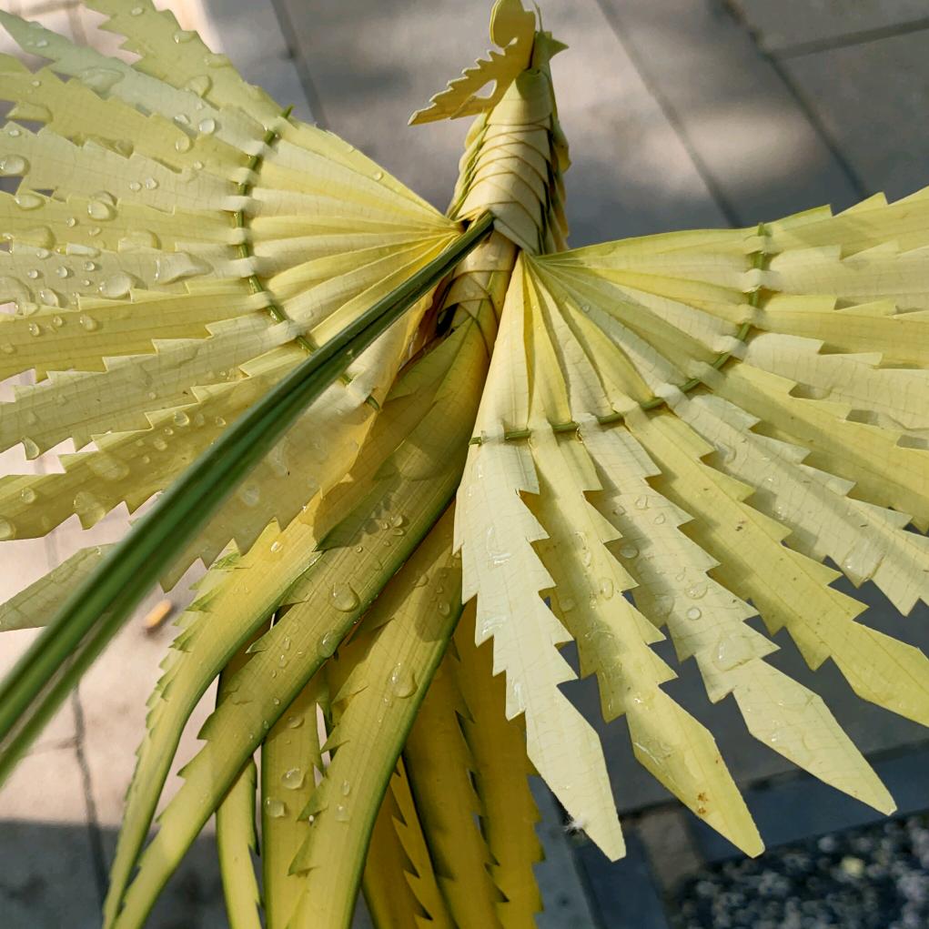 莲丫头