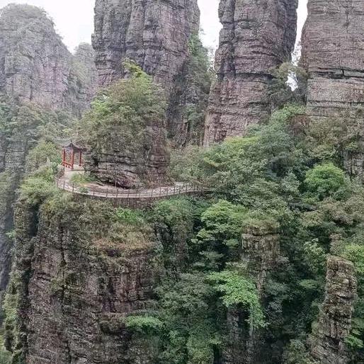 在路上奔波