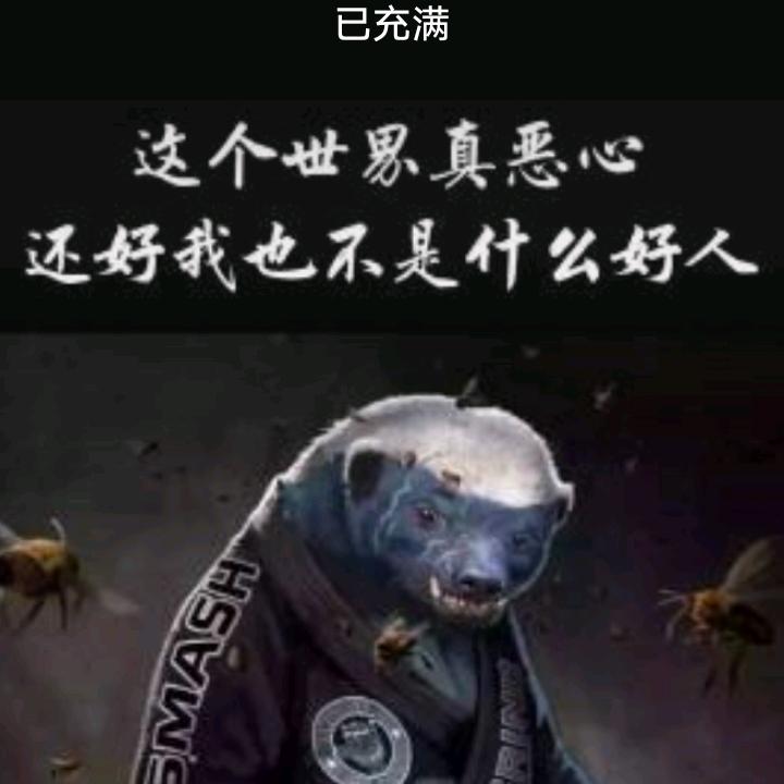 石井室内油漆