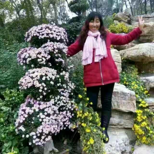 渑义红妈小号～柳暗花明🍀