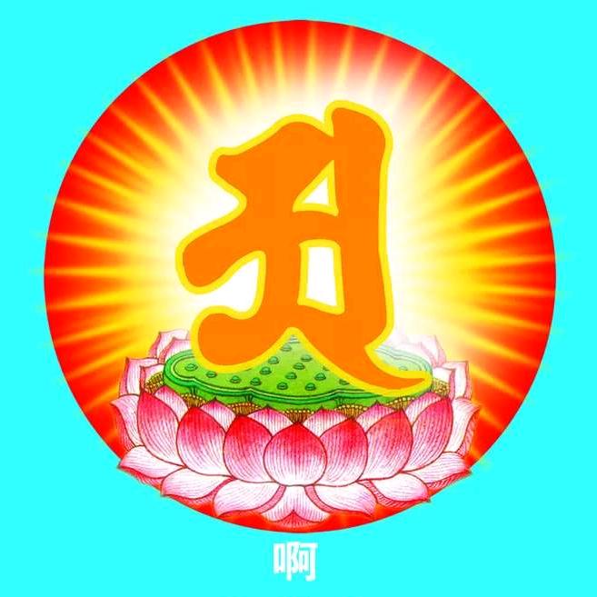 何从何去