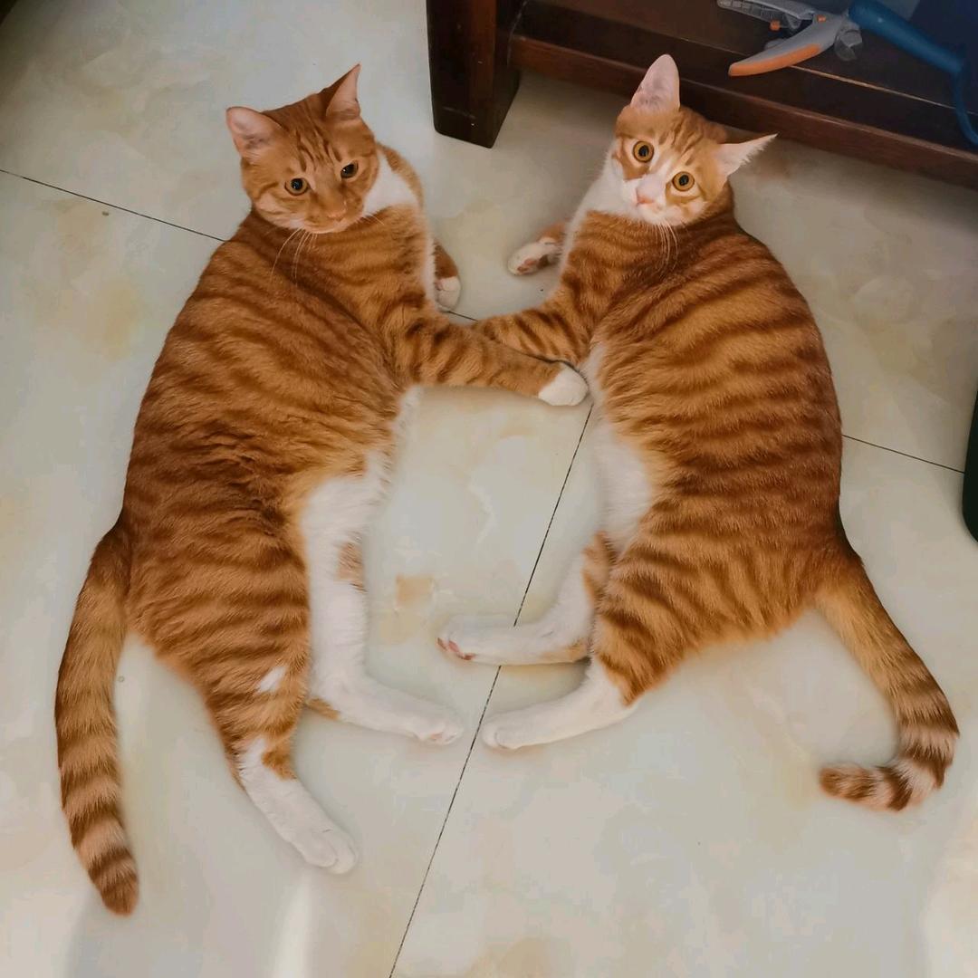 珍惜→_→