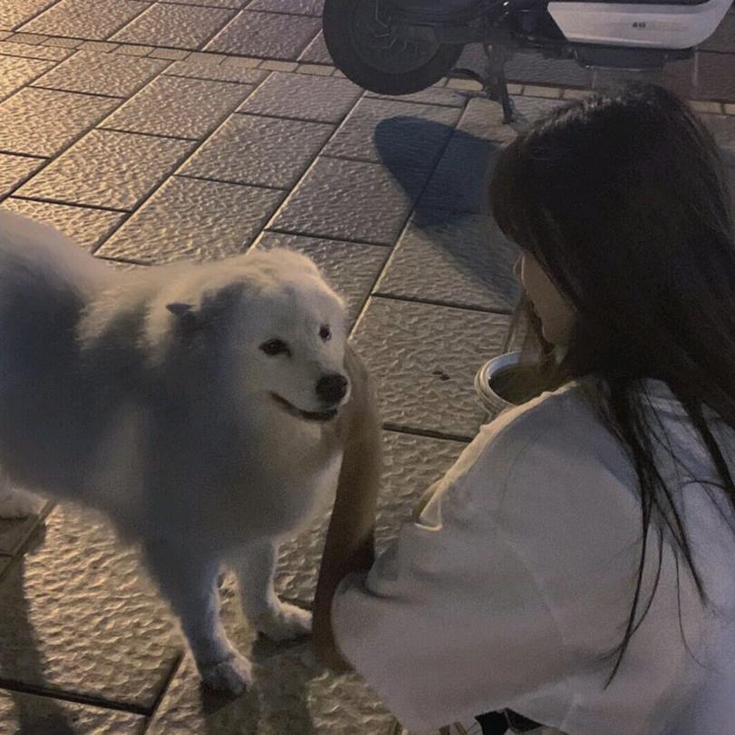 soft全网唯一亲妈