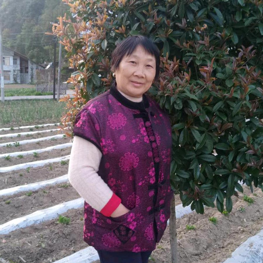 姚姐