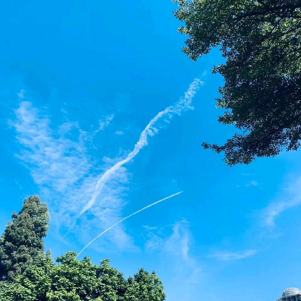 星期天去买菜