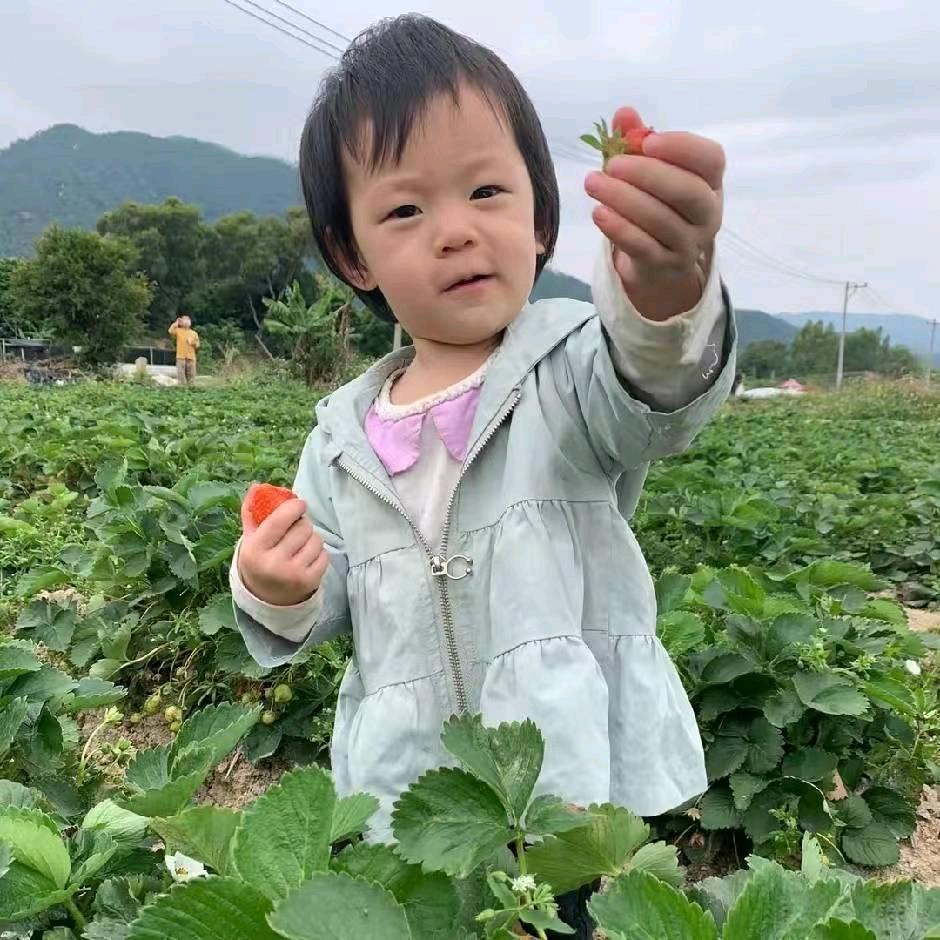 ꧁༺都💋督༻꧂
