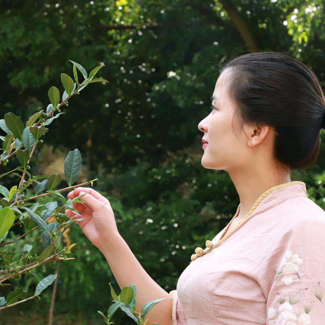 胡玉霜生活茶馆